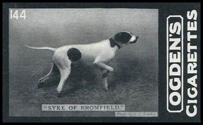 02OGID 144 Syke of Bromfield